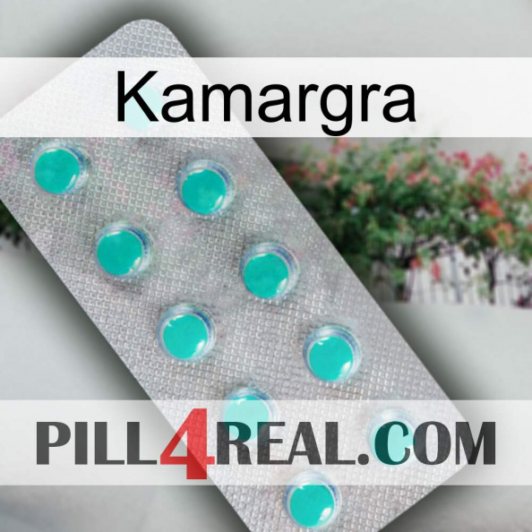 Kamargra 28.jpg